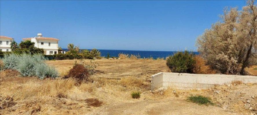 Residential complex at 50 meters from the beach